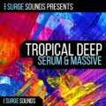 KYGO, Thomas Jack, EDX Tropical Deep House Xfer Serum NI Massive Presets